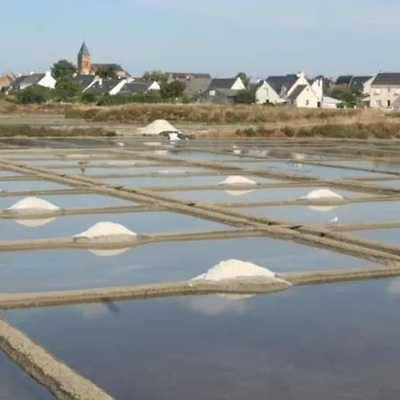 Magnifique Plein Sud - Piscine
